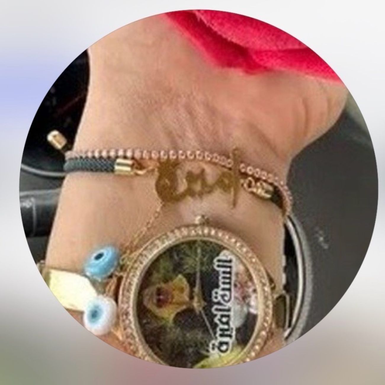 ورود الاميرة